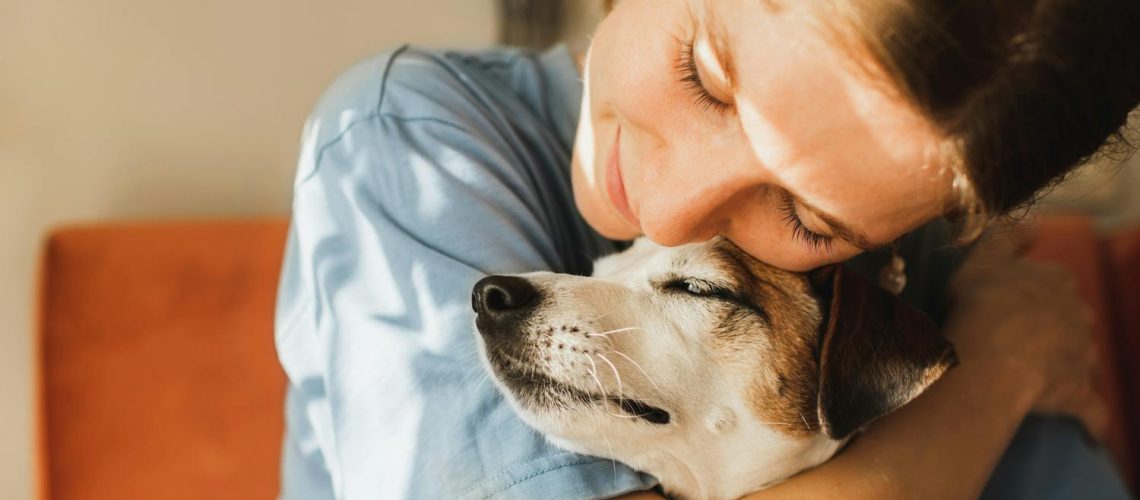 5 raisons pour lesquelles les animaux nous font tant de bien