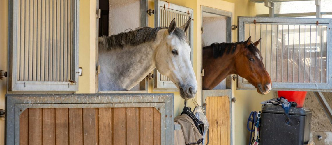 Connaissez-vous l'équinophobie, la peur panique des chevaux ?